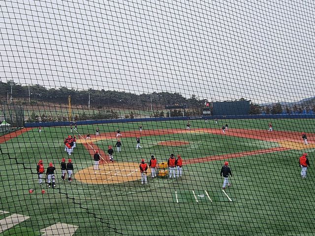 훈련 중인 프로야구 KIA 선수들