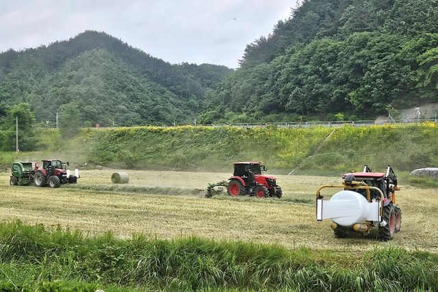 사료작물 수확 대행