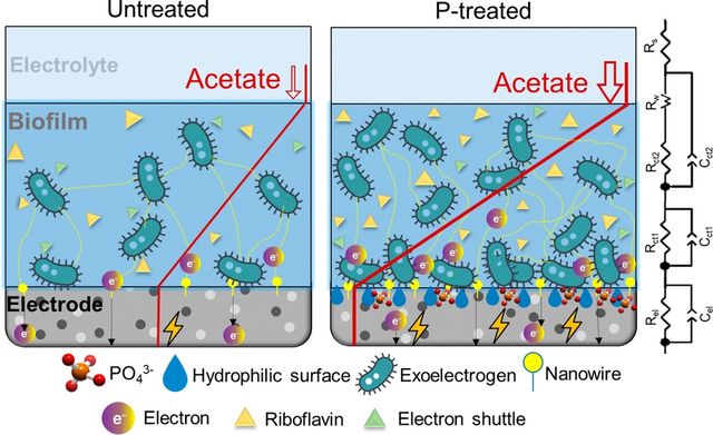 전남대 환경에너지공학과 구본영 박사의 미생물 연료전지 연구