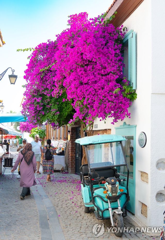 이즈미르 스아지크 [사진/성연재 기자]