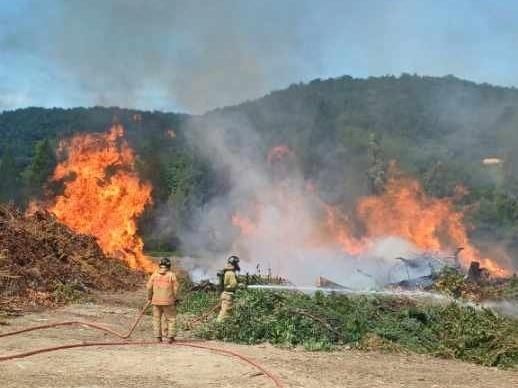 여수 임목 폐기장 화재
