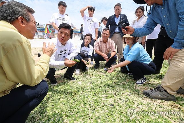 신양섭지해수욕장 찾은 조승래 대변인