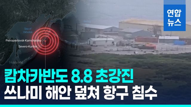 [영상] "일본 이와테현 1.3ｍ 쓰나미"…하와이 호놀룰루도 대피령 - 2
