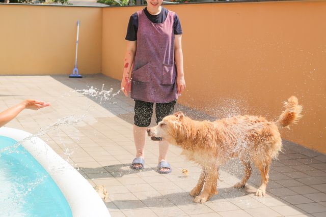 지난 8일 개장한 수영장