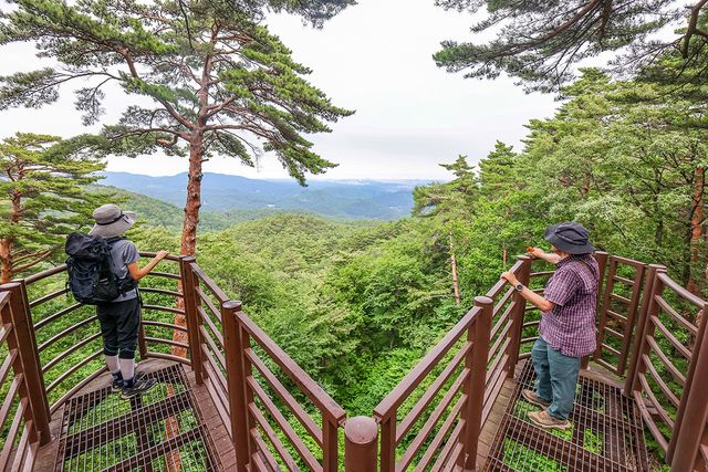 대통령 쉼터 옆 전망대. 멀리 동해가 보인다.[사진/임헌정 기자]
