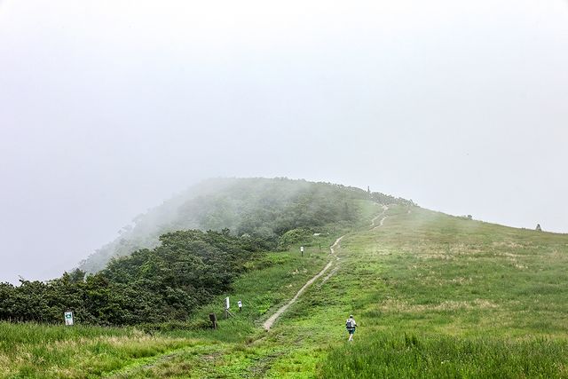 선자령 정상부 초지[사진/임헌정 기자]
