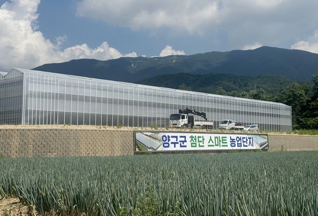 양구 해안면에 조성한 스마트팜