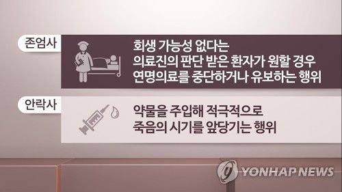 존엄사와 안락사의 차이 