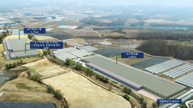 양구 스마트팜 조감도