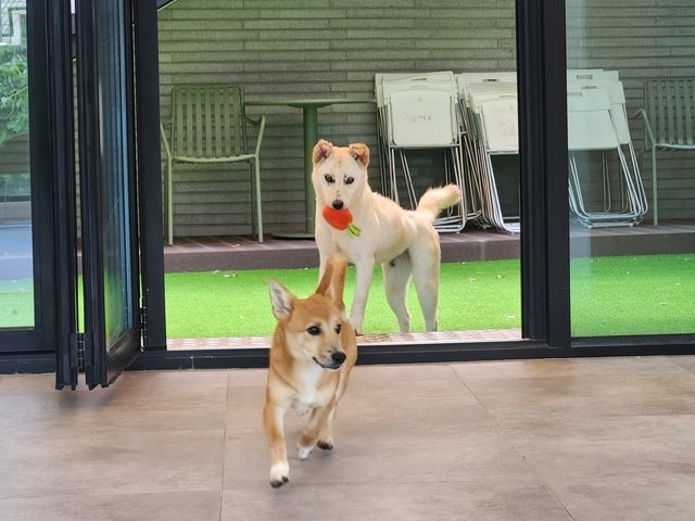 휴식 공간으로 개조한 실내 강당