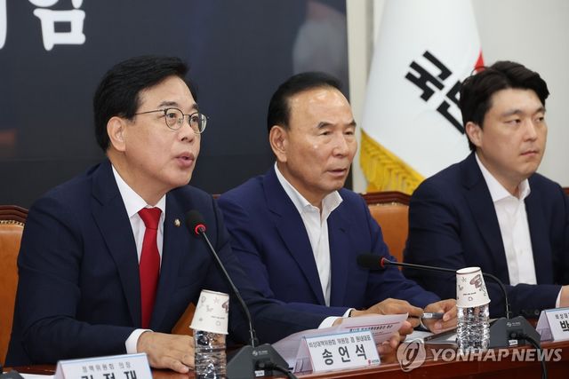 국민의힘 비상대책위원회의