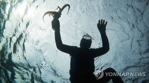 해녀 어업