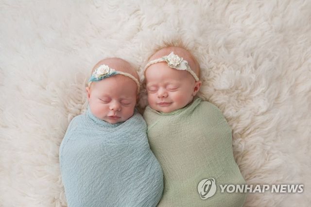 쌍둥이