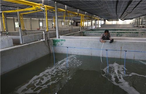 인공종묘배양장 모습