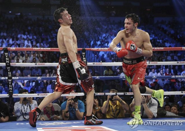 2012년 경기에서 펀치 날리는 훌리오 세사르 차베스 주니어(오른쪽)