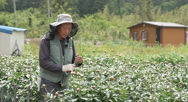 다큐 '귀한 집' 장면