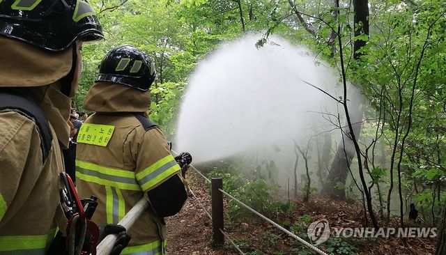 물뿌리면 죽어요!...러브버그 방제