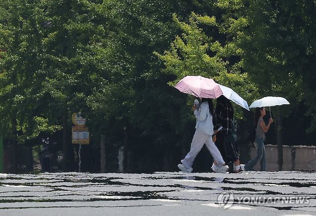 폭염, 양산은 필수