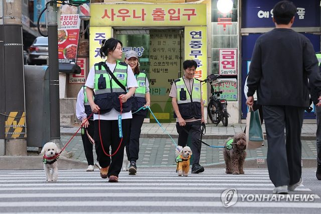 반려견 순찰대원들 출동!