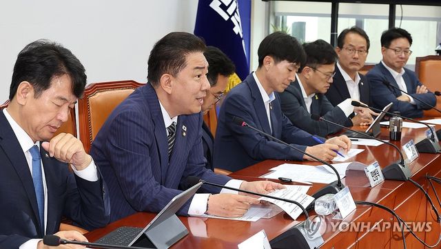 발언하는 김병기 당 대표 직무대행