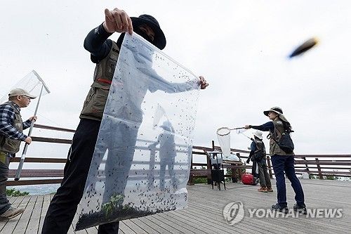 러브버그 방제 작업하는 환경부 직원들 (서울=연합뉴스) 4일 환경부 및 소속기관 직원들이 인천 계양산을 중심으로 활동 중인 러브버그 성체를 제거하기 위해 송풍기와 포충망을 활용해 방제 작업을 하고 있다. 2025.7.4 [환경부 제공. 재판매 및 DB 금지] photo@yna.co.kr(끝)