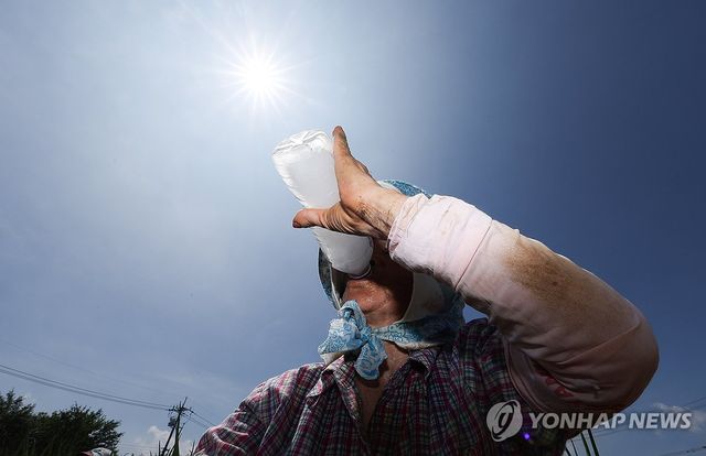 얼음물 마시며 폭염 속 밭일