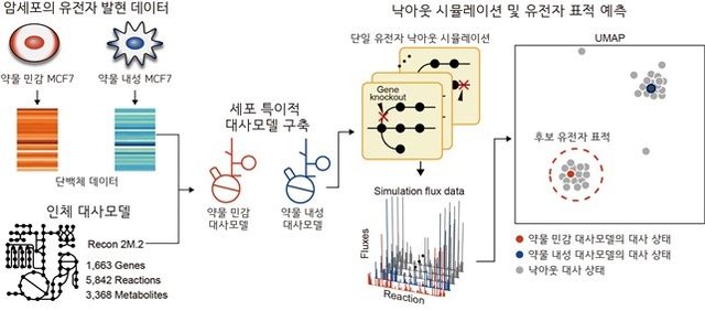 항암제에 민감하게 만드는 유전자 예측 대사 네트워크 모델 모식도