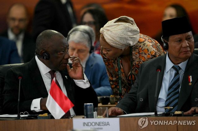 브릭스 정상회의 참석한 남아공 대통령(왼쪽)과 인도네시아 대통령