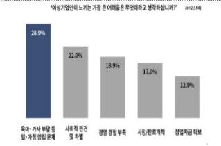 대한상의 소플(Sople) 조사