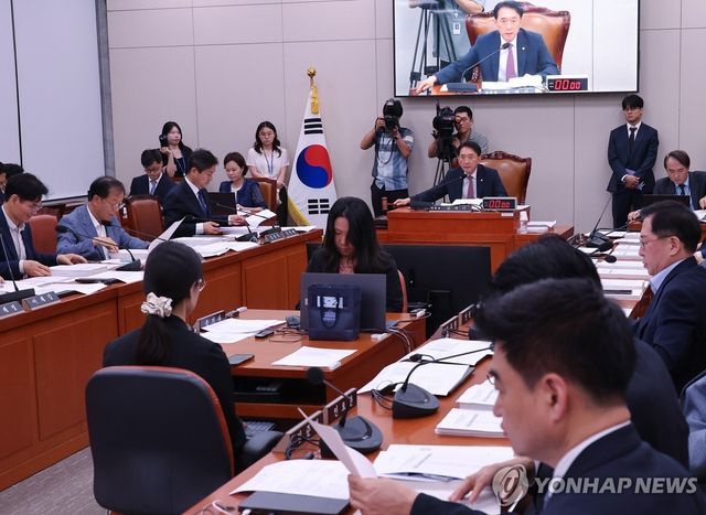 의사봉 두드리는 김석기 위원장