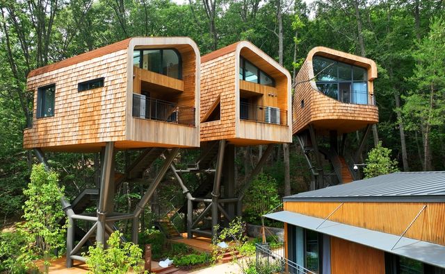 수락휴 트리하우스