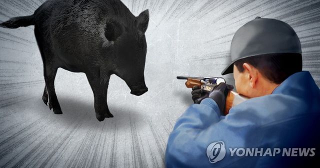 멧돼지 사살 (PG)