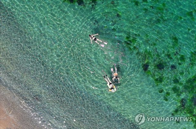 폭염 속 해수욕