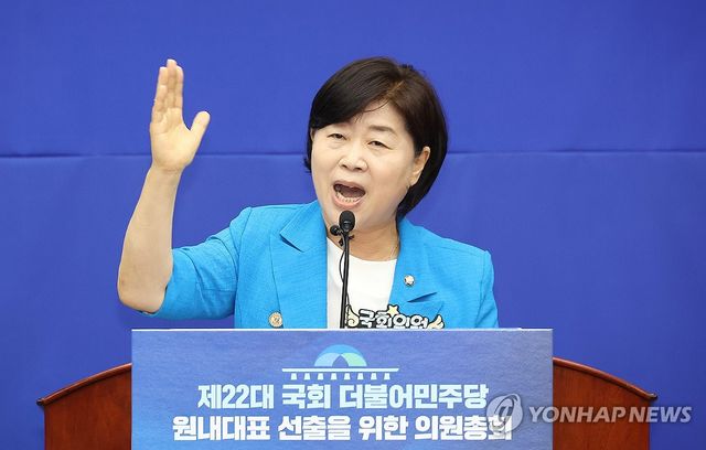 더불어민주당 서영교 의원