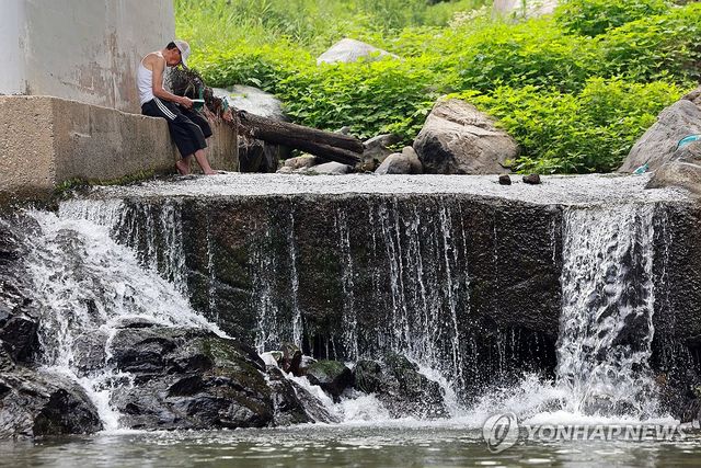 더위 피하며 독서