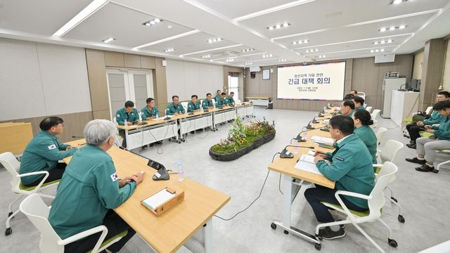 정선군 폭염·가뭄 대응 긴급 대책회의