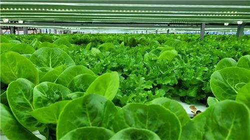 울주군·울산테크노파크, 스마트팜 청년농업인 전주기 지원