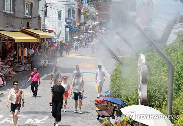 더위 식히는 쿨링 포그