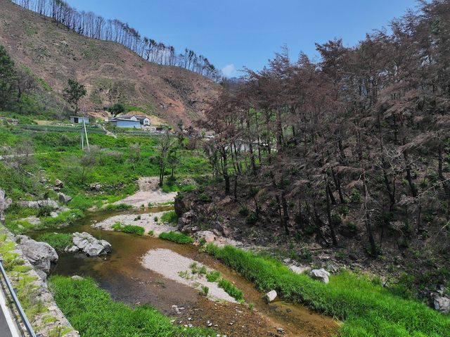 황량한 영양 삼의계곡