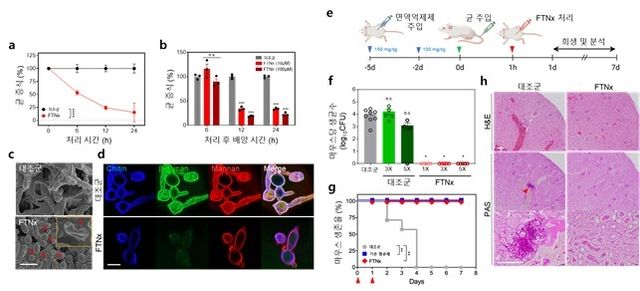 'FTNx' 처리 시간과 농도에 따른 균 증식 결과 