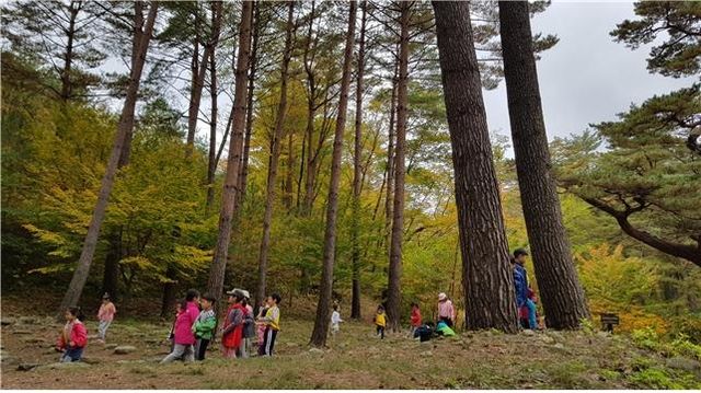 울진 금강송 산지농업시스템