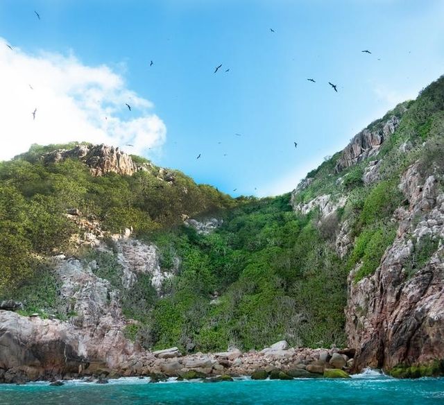 산호초 생태계에 영양분을 공급하는 군함조 서식지