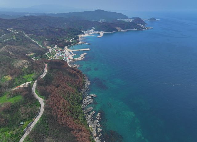 산불로 그을린 영덕 해안가