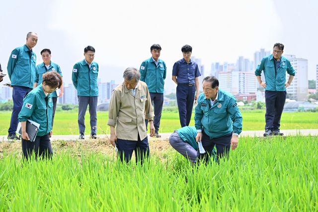 농업 현장 둘러보는 속초시