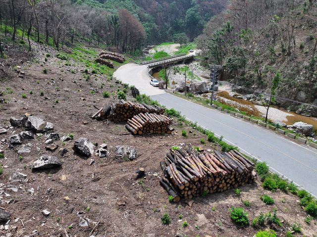 황폐화된 영양 삼의계곡