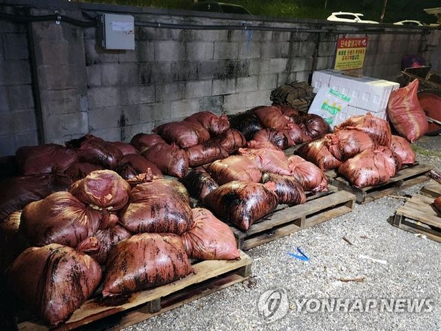 2024년 6월 배출된 고래 창자