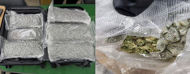 캐리어에 숨긴 대마