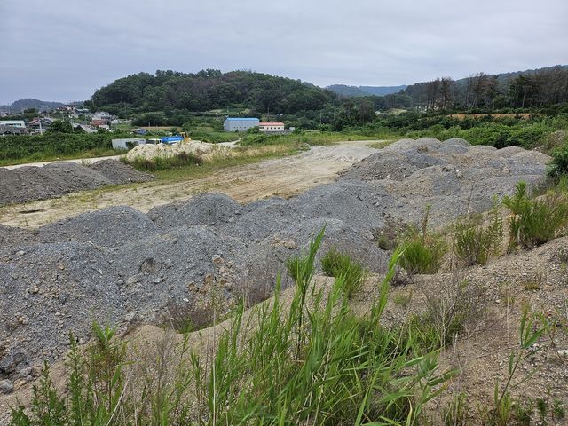 포항 동해지구 토지구획정리 사업지에 쌓인 흙