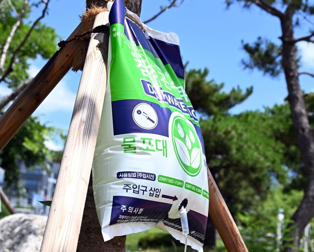 수목 피해 방지 물주머니