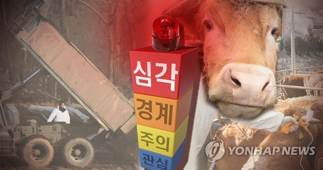 구제역 방역 위기경보 심각